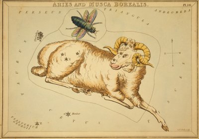 Aries and Musca Borealis, Illustration from 