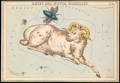 Aries and Musca Borealis, c.1825 by Sydney Hall