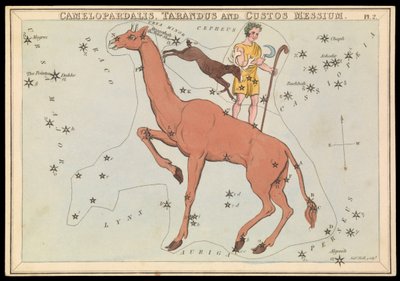 Camelopadalis, Tarandus and Custos Messium, c.1825 by Sydney Hall