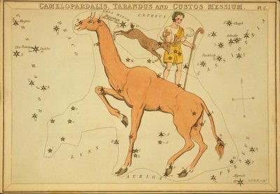 Camelopardalis, Tarandus and Custos Messium, Illustration from 