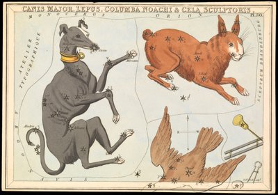 Canis Major. Lepus, Columba Noachi & Cela Sculptoris, c.1825 by Sydney Hall