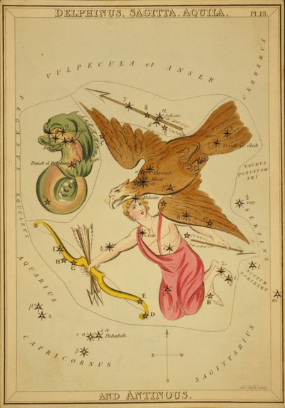 Delphinus, Sagitta, Aquila, and Antinous, Illustration from 