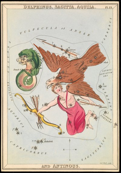 Delphinus, Sagitta, Aquila and Antinous by Sydney Hall