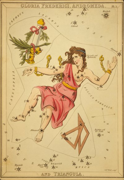 Gloria Frederici, Andromeda, and Triangula, Illustration from 