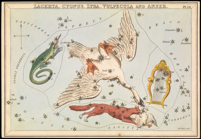 Lacerta, Cygnus, Lyra, Vulpecula and Anser, c.1825 by Sydney Hall