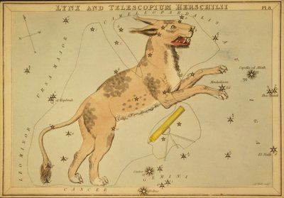 Lynx and Telescopium Herschilii, Illustration from 