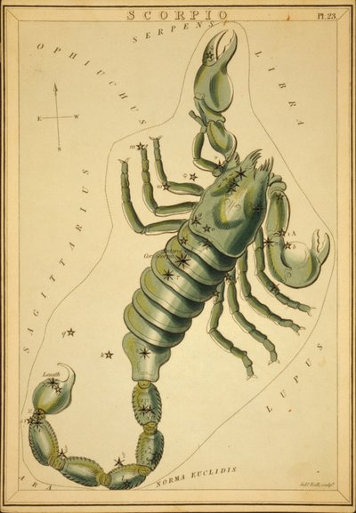 Scorpio, Illustration from 