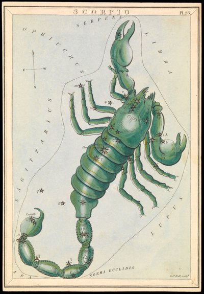 Scorpio, c.1825 by Sydney Hall
