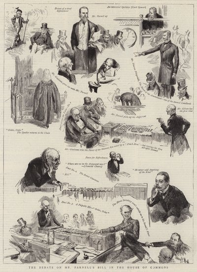 The Debate on Mr Parnell