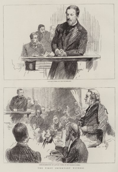 The First Important Witness by Sydney Prior Hall