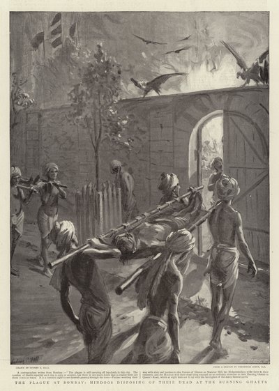 The Plague at Bombay, Hindoos disposing of their dead at the Burning Ghauts by Sydney Prior Hall