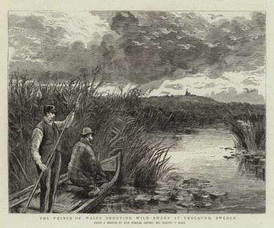 The Prince of Wales shooting Wild Swans at Ekolsund, Sweden by Sydney Prior Hall