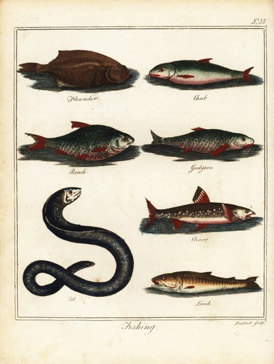 Fishing: flounder, chub, roach, gudgeon, charr, eel, loach by T. Prattent