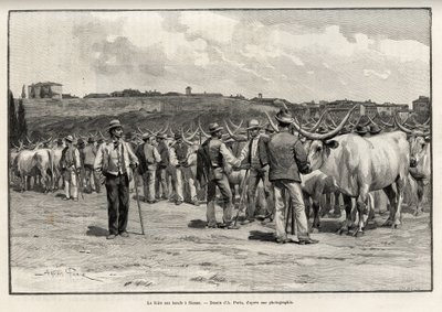 The beef fair in Siena (Italy) by T Taylor