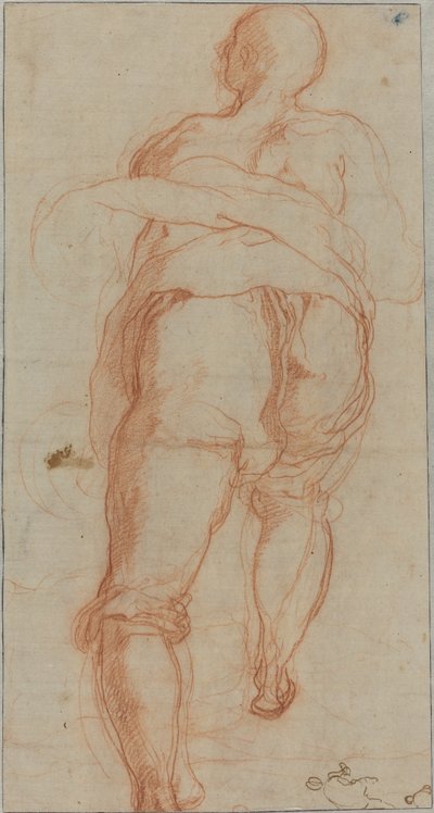 A Man Seen from Behind by Taddeo Zuccaro