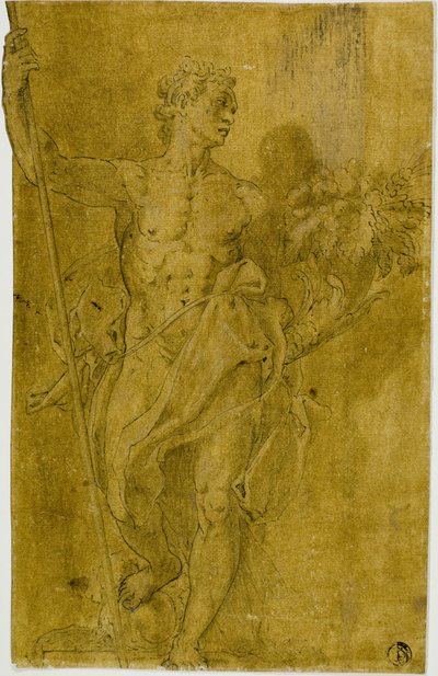 Study for Male Allegorical Figure by Taddeo Zuccaro