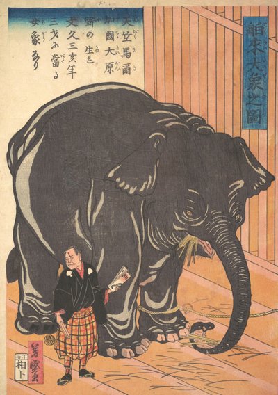 View of the Large Imported Elephant, 1863 by Taguchi Yoshimori