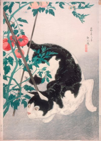 Cat with Tomato Plant by Takahashi Hiroaki