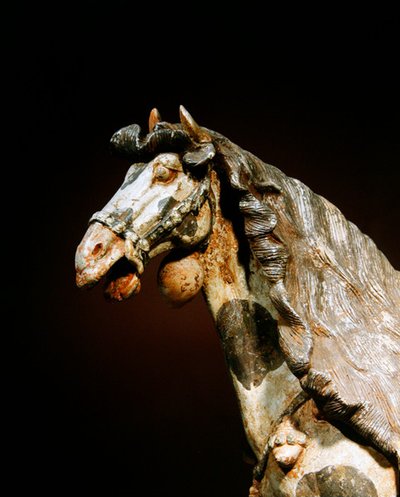 Detail of a horse, late 7th - early 8th century by Tang Dynasty Chinese School