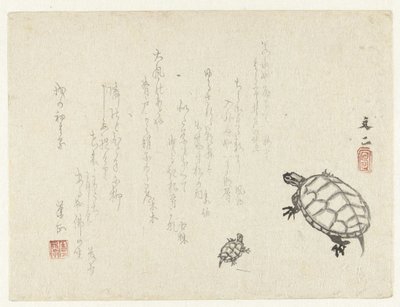 Two turtles by Tani Bunji