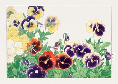 Vintage Pansy Flower from "Seiyou Sokazufu" by Tanigami Konan