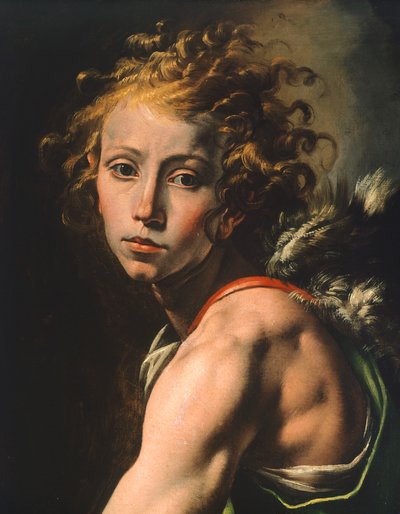Figure of David (detail) by Tanzio da Varallo