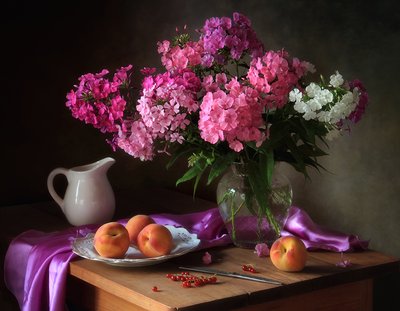 Vibrant Phlox and Peaches by Tatyana Skorokhod