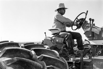 Family farmer Ed Ker at A.M. Ker Ranch is an agricultural homesteader growing alfalfa by Ted Spiegel