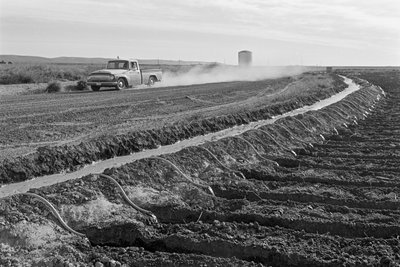 Family farmer Ed Ker at A.M. Ker Ranch is an agricultural homesteader growing alfalfa by Ted Spiegel