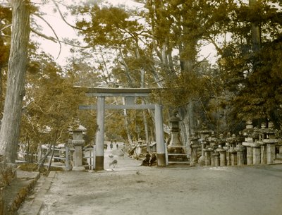 Entrance to the Lantern Shrine in Kasuga Taisha Park, Nara, circa 1900 - 1915 by Teijiro Takagi