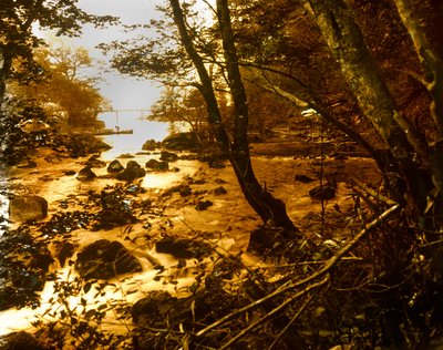Hayakawa River at Miyagino near the Village of Miyanoshita, circa 1900 - 1915 by Teijiro Takagi