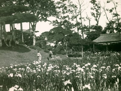 Horikiri Shobuen