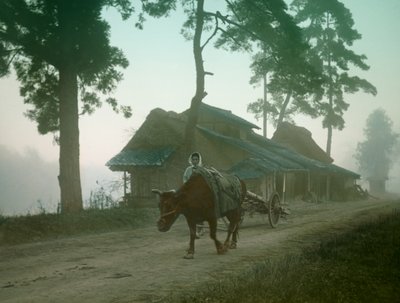 Japanese Farmer with Ox Cart, circa 1900 - 1915 by Teijiro Takagi