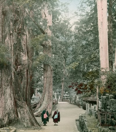 Okuno-In Cemetery on Mount Koya in Yamamoto, circa 1900 - 1915 by Teijiro Takagi