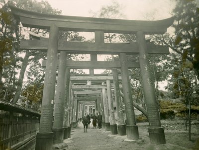 Torii in the Inari Kyoto Shrine, circa 1900 - 1915 by Teijiro Takagi