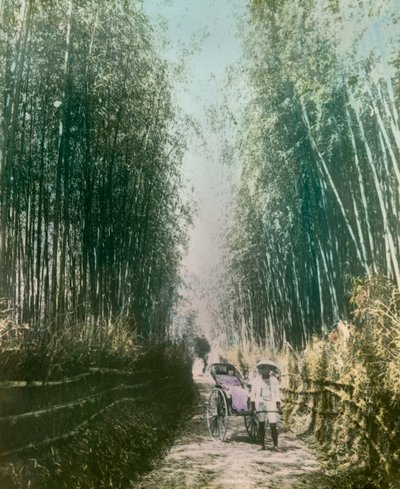 Young Woman in a Bamboo Shoot, circa 1900 - 1915 by Teijiro Takagi