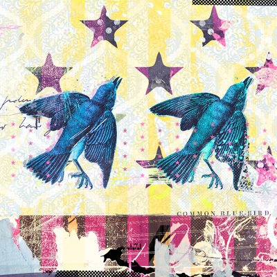 Birds in Serie by Teis Albers