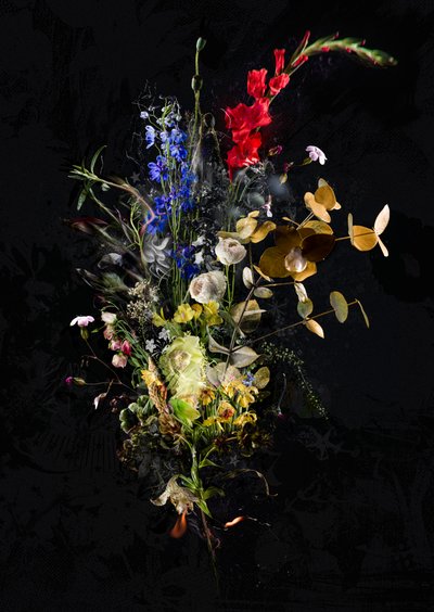 Bouquet XXXIII, 2020 by Teis Albers