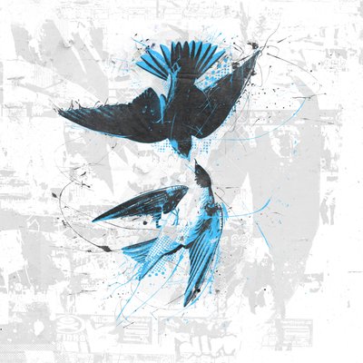 Spiraling Birds II by Teis Albers