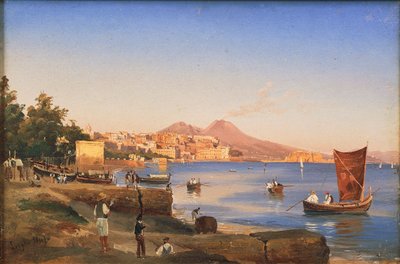 Naples seen from Mergellina by Teodoro Duclere