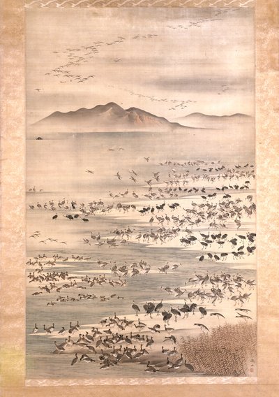 Myriad Of Aquatic Birds by Tetsuzan Mori