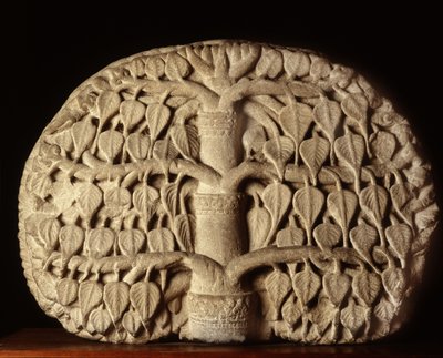Bodhi Tree by Thai School
