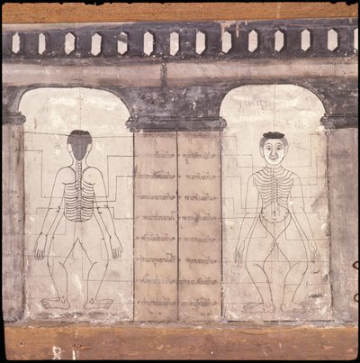 Depiction of massage points on the human body by Thai School