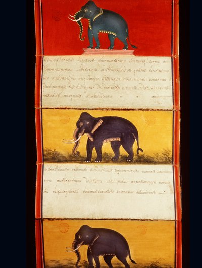 Folio from a Manuscript on Elephant Training by Thai School