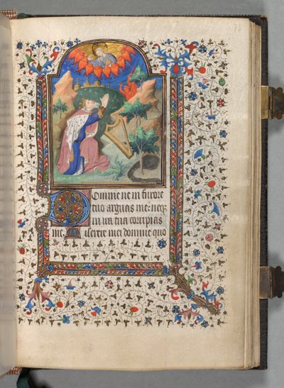Book of Hours Use of Paris: Fol. 77r, David, c. 1420 by The Bedford Master