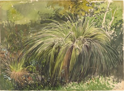 A Corner of a Meadow with Fountaingrass by Themistocles von Eckenbrecher