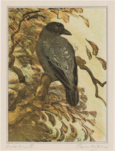 Colorful Crow on a Branch by Theo van Hoytema (signed by artist)
