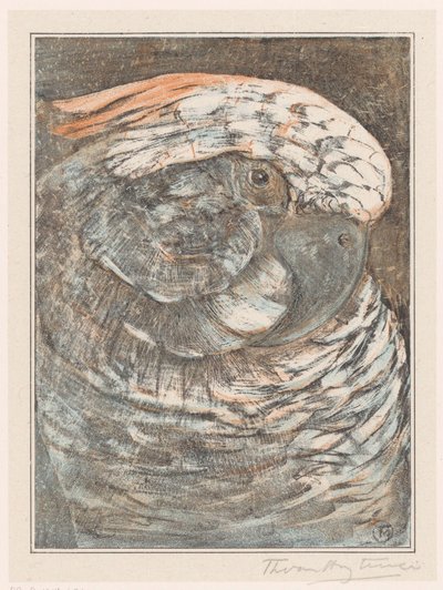 Head of a Parrot by Theo van Hoytema (signed by artist)