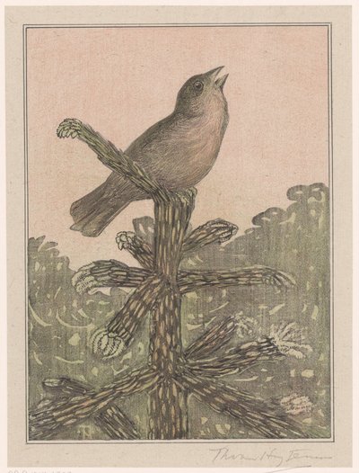 Singing Bird on Pine Tree by Theo van Hoytema (signed by artist)