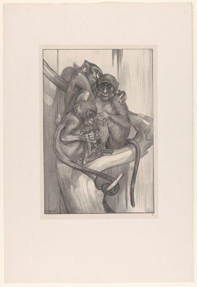 Three Monkeys on a Tree Stump (Animal Studies series) by Theo van Hoytema